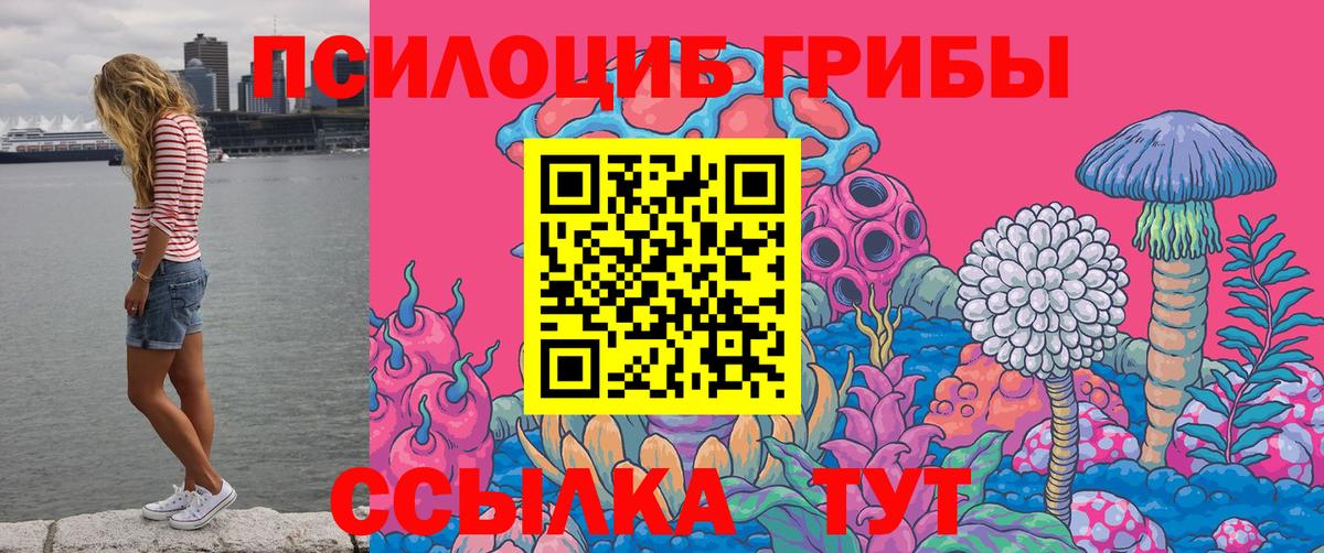 Псилоцибиновые грибы Magic Shrooms  Галлюциногенные грибы Psilocybine cubensis  Сухой Лог  Вход с VPN 