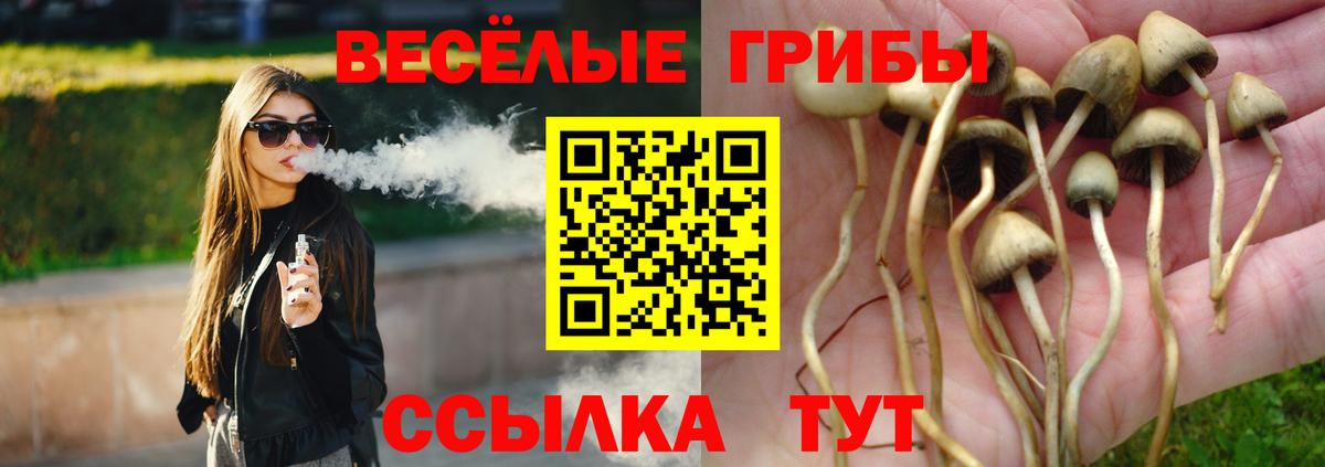 Псилоцибиновые грибы MAGIC MUSHROOMS Сухой Лог